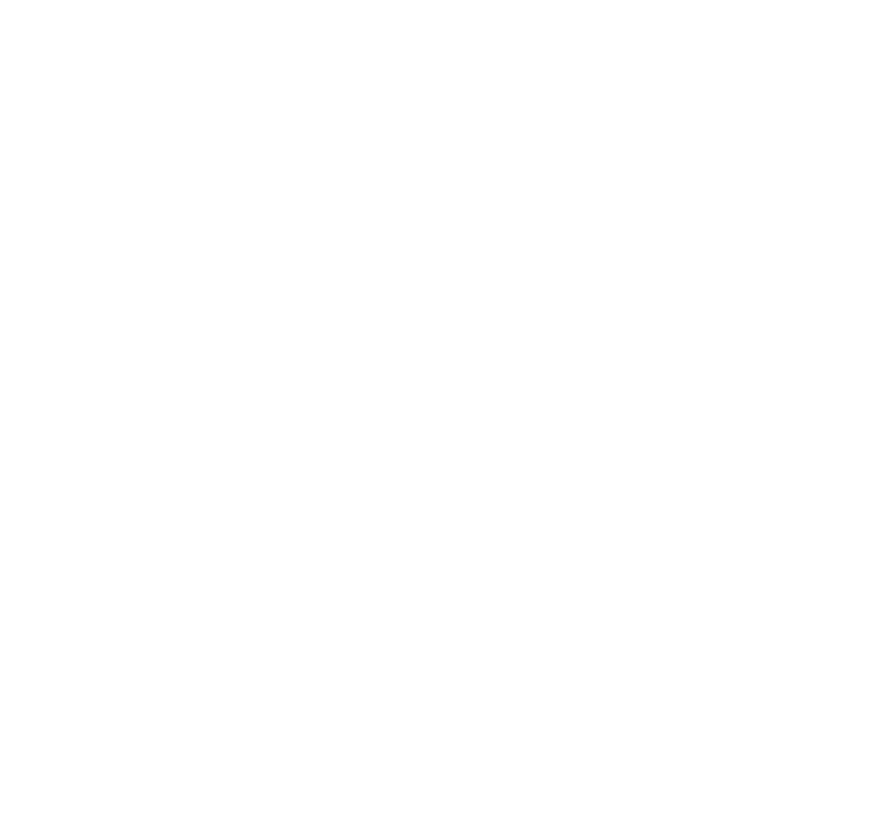 brain icon